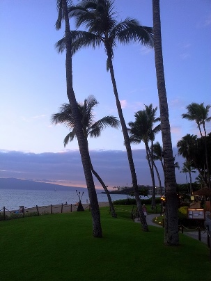 from Westin the View To Sheraton